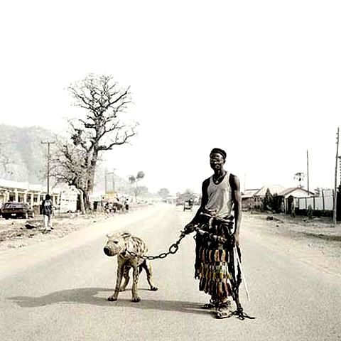 Hyena Gangster Nigeria