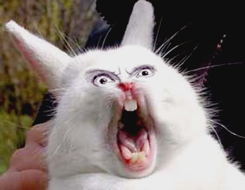 scary bunny pictures