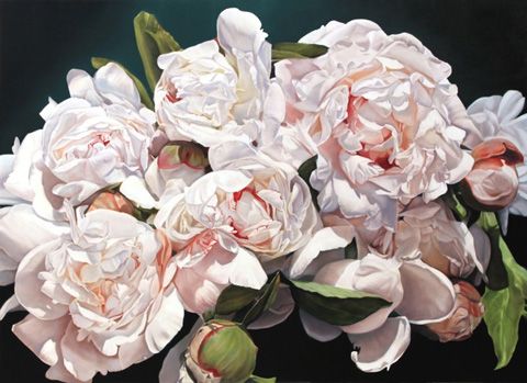 photo 220x160peonies_zps910a01a9.jpg