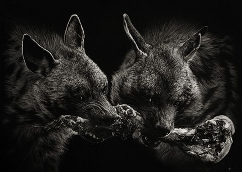 photo hunger_crisis_by_cristinapenescu-d46bmxa_zps594a4da2.jpg
