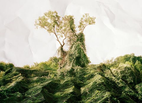 photo plageman_response_kudzu_zps7aa4e1b8.jpg