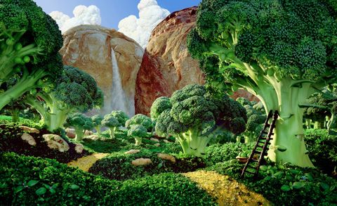 photo Brocolli-Forest_zpscf22ef00.jpg