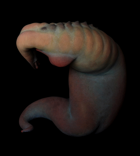 photo worm3_zps263056b7.png