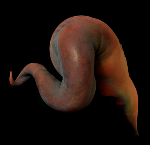 photo worm5_zps87a758e9.png