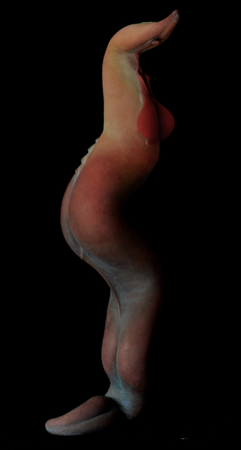 photo worm7_zpsb08cfee1.png