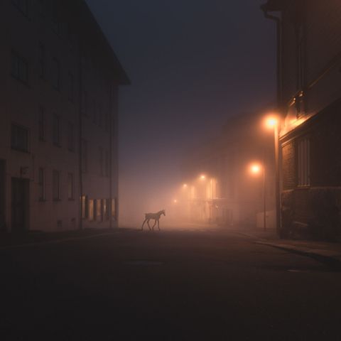 photo fa3ee75d75df11fc8c211eba7c7c657b_zps9e8d1f02.jpg