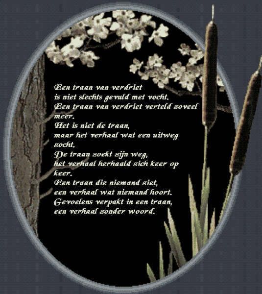Eentraan.jpg gedicht image by fenneke_2008