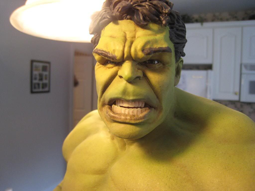 hulk004_zpsc849c1df.jpg