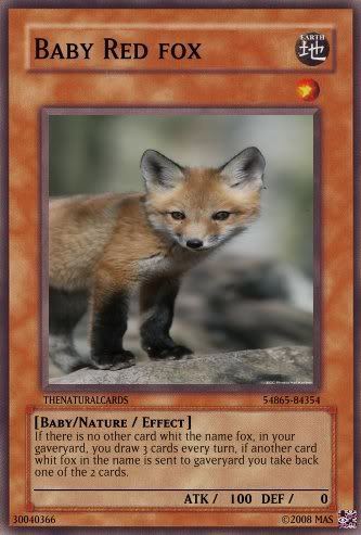 Foxy.jpg