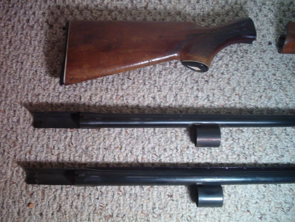 Really easy way to paint a shotgun barrel ***pics added*** GON Forum
