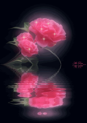 roses.gif roses image by LOVE_1234_02