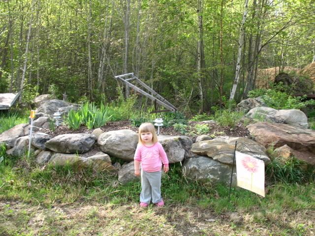 rock wall garden & Daisy
