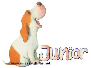 Scraps Personalizados