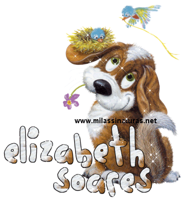 Scraps Personalizados