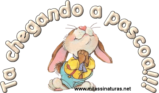 Scraps Personalizados