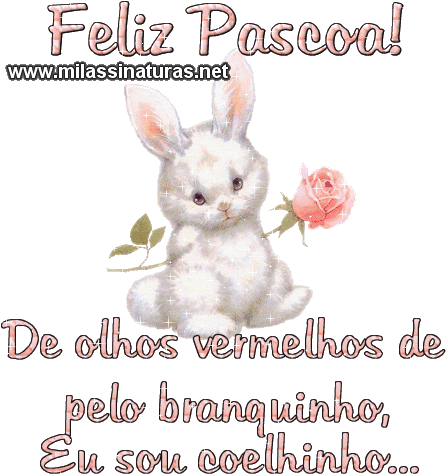 Scraps Personalizados