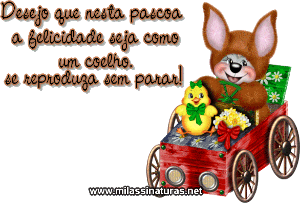 Scraps Personalizados