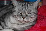 th_DSC_4177.jpg