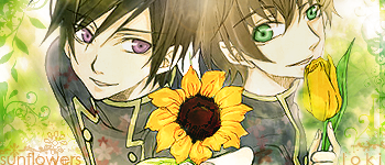 sunflower-1.png