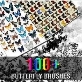 Brushes for Photoshop - Butterfly