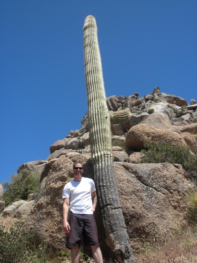 saguaro cactus w/o arms photo DSCN1090.jpg