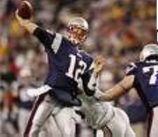 bradykazcur2.jpg