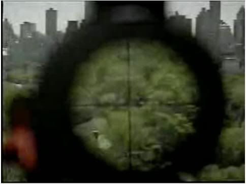 snipe.jpg