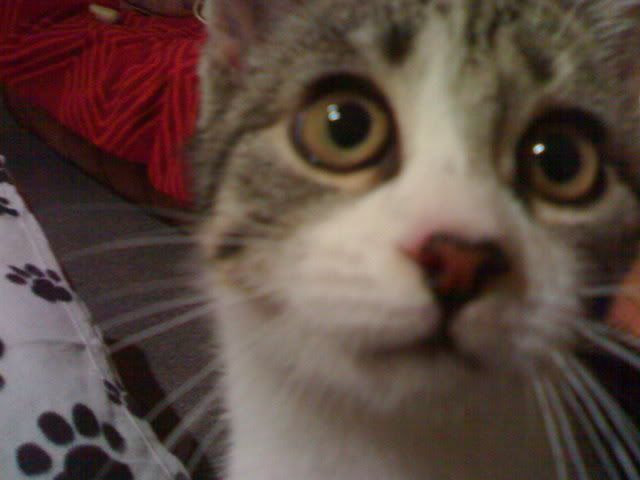 05122007501-1.jpg
