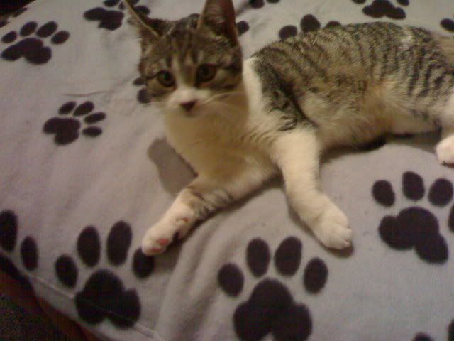 05122007504.jpg