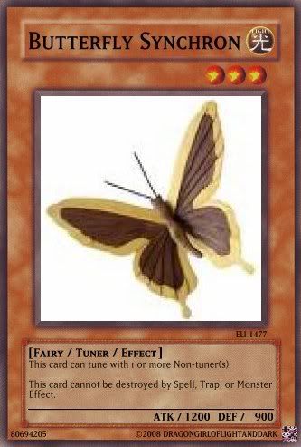 ButterflySynchron.jpg
