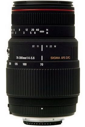 sigma-70-300mm-apo.jpg