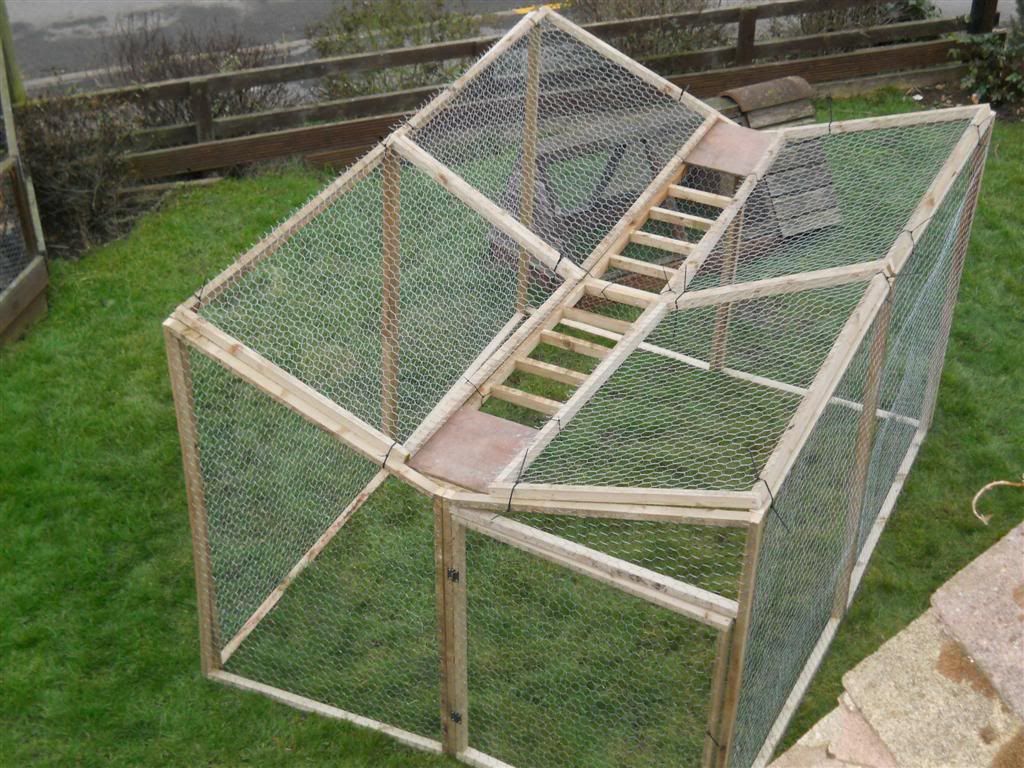 Ladder Trap - Gamekeeping and Shoot Management - Pigeon ...