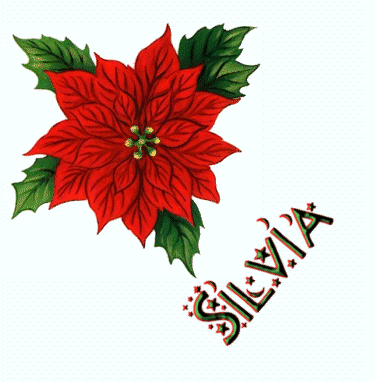 FLORNAVIDADROSA.gif flor navidad rosa picture by kattana8