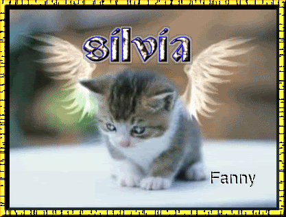 http://i245.photobucket.com/albums/gg76/kattana8/navidad/firmas%20silvia/GATITOFRAN.gif