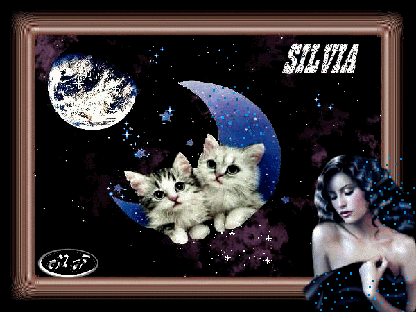 http://i245.photobucket.com/albums/gg76/kattana8/navidad/firmas%20silvia/GATITOSLUNABARCO.gif?t=1245172792