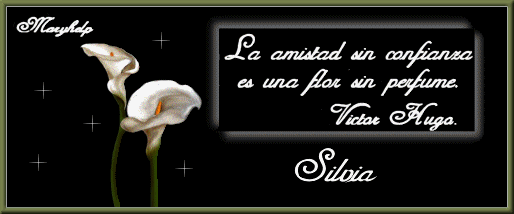 http://i245.photobucket.com/albums/gg76/kattana8/navidad/firmas%20silvia/LAAMISTADSINCONFIANZASILVIAMARYHELP.gif?t=1245173072