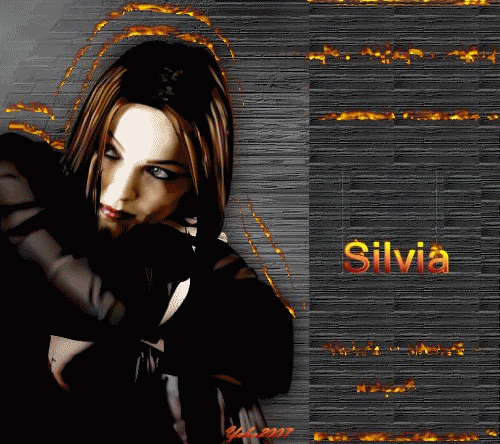 http://i245.photobucket.com/albums/gg76/kattana8/navidad/firmas%20silvia/SILVIANEGROYDORADOYOBE.gif?t=1245173113