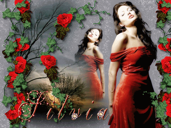 http://i245.photobucket.com/albums/gg76/kattana8/navidad/firmas%20silvia/rosasred.gif?t=1289832701