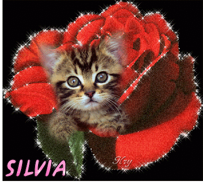 http://i245.photobucket.com/albums/gg76/kattana8/navidad/firmas%20silvia/silviayo.gif?t=1289832372