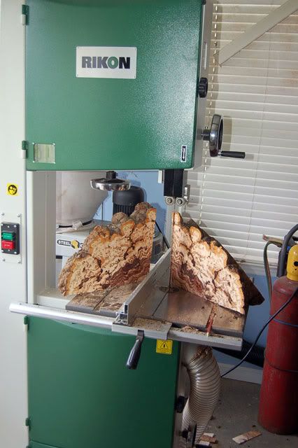 Hickory-Burl-003.jpg