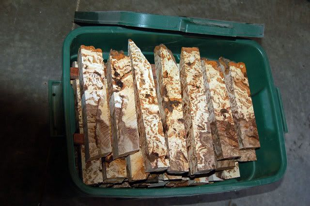 Hickory-Burl-007.jpg