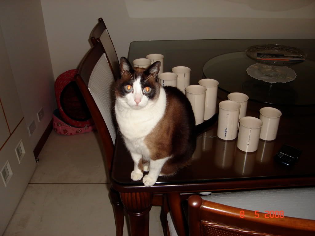 DSC01181.jpg