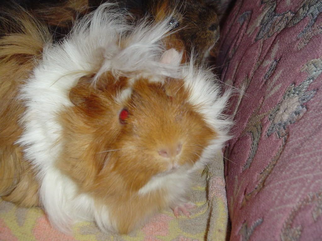 DSC00275.jpg