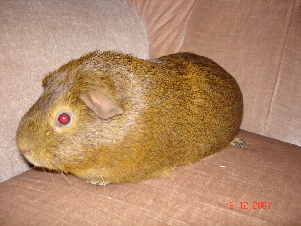DSC01524.jpg