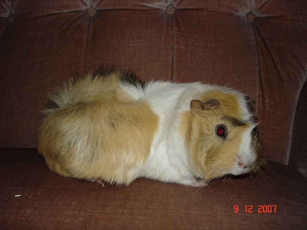 DSC01526.jpg