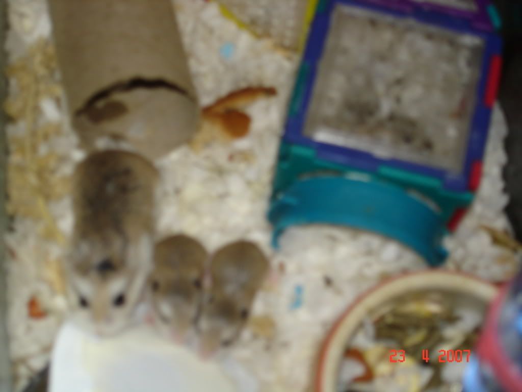 DenisesPics032.jpg