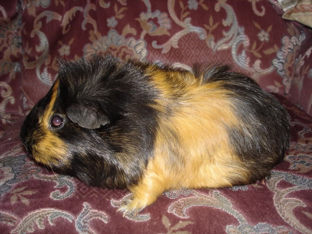 DenisesPics069.jpg