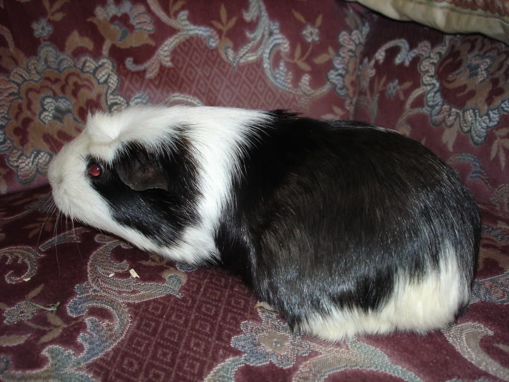 DenisesPics072.jpg