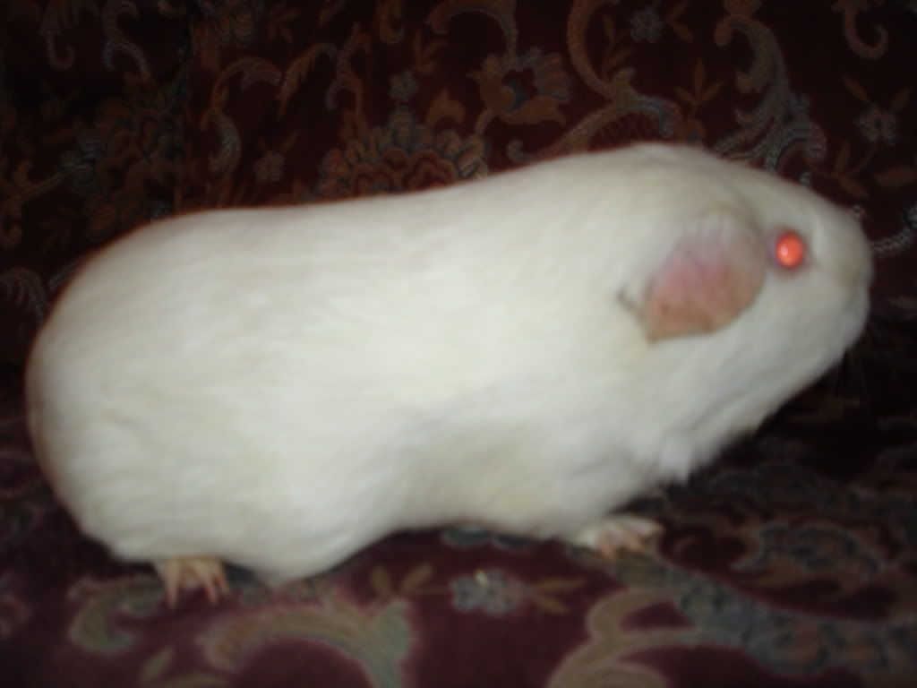 DenisesPics073.jpg