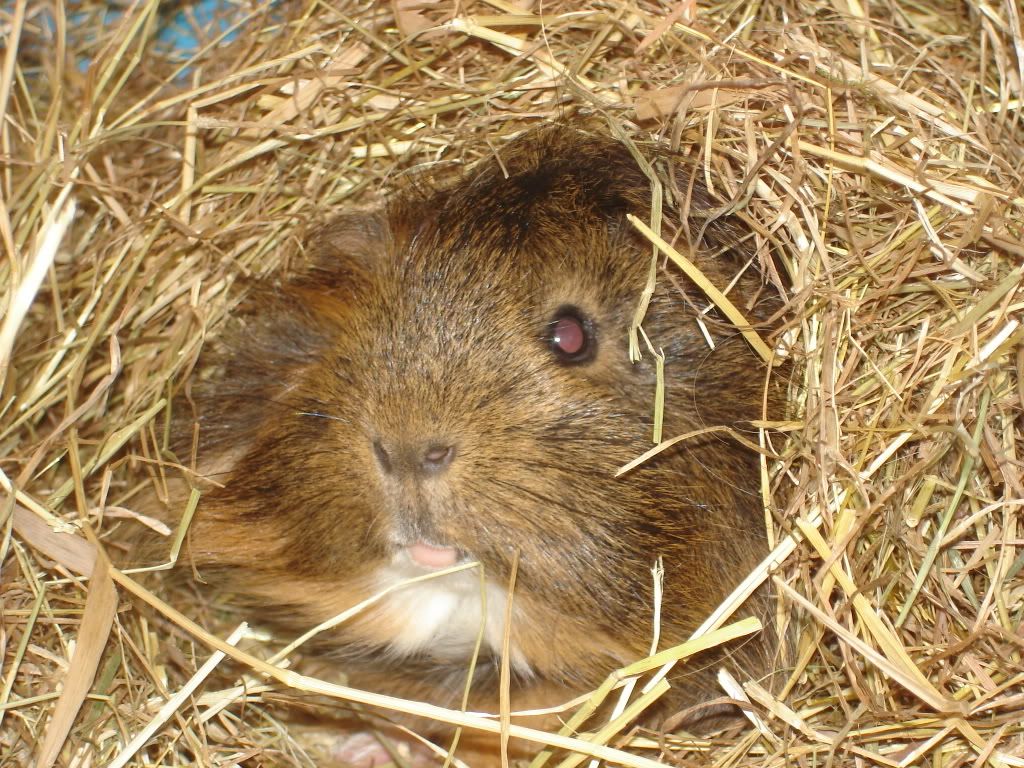 KarensPics2007052.jpg